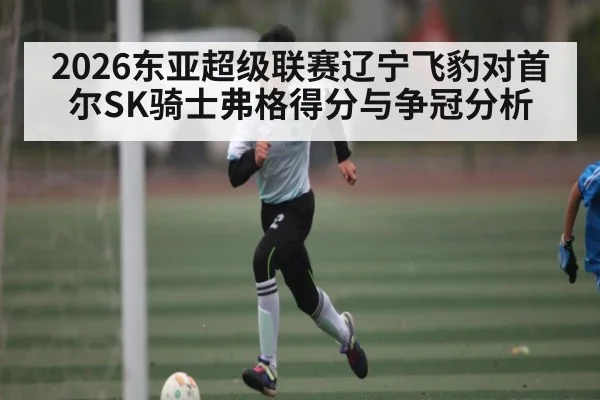2026东亚超级联赛辽宁飞豹对首尔SK骑士弗格得分与争冠分析（c7c7.app）